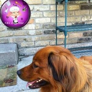 Meet your Posher, Barbara